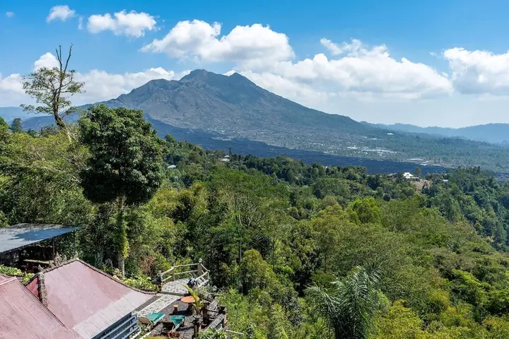 Кинтамани: Tiing Bali Guest House