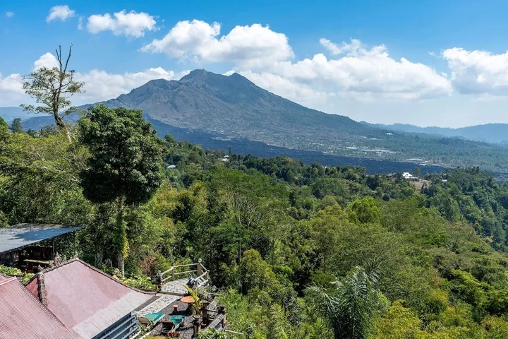 Кинтамани: Tiing Bali Guest House