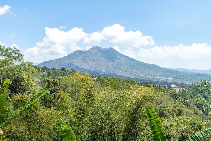 Кинтамани: Tiing Bali Guest House