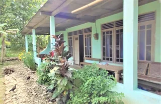 Батуретно: Homestay Pak Buang Syariah