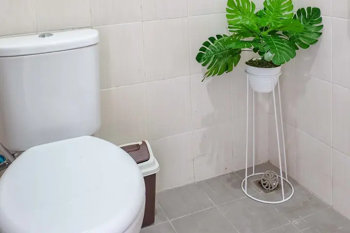 Беноа: Rumah D'Soka Nusa Dua RedPartner
