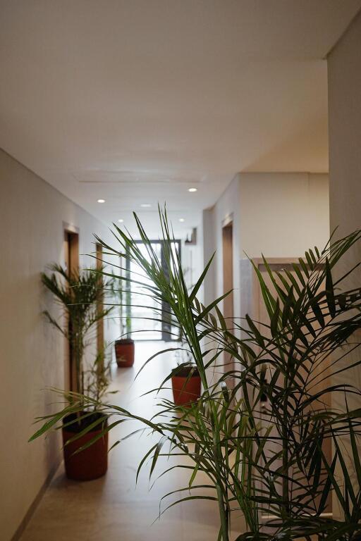 Джакарта: W Home Benhil