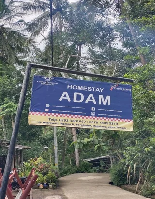 Боробудур: Homestay Adam