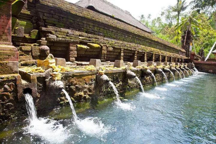 Sebatu Paradise Villa — фото 4