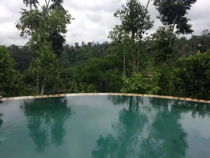 Sebatu Paradise Villa — фото 1