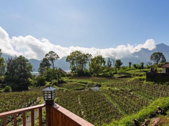 Кинтамани: Mount Batur Villa