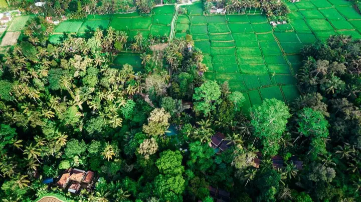 Паянган: Pramana Giri Kusuma