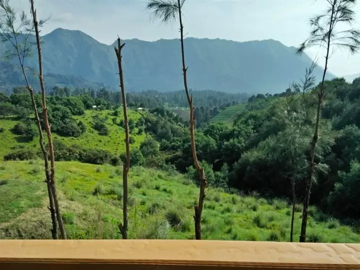 Проболинго: Lava View Lodge