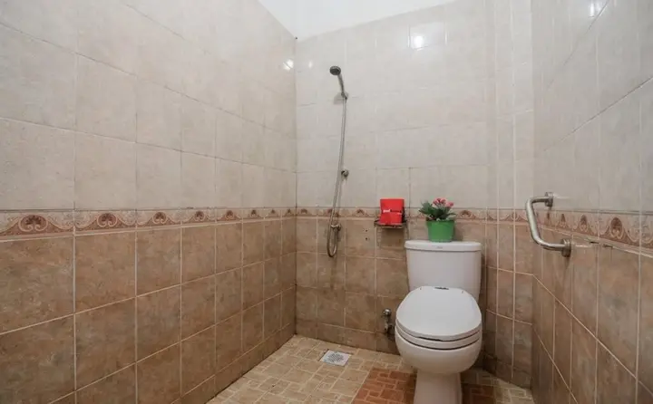 Банджармасин: Ersha Hotel