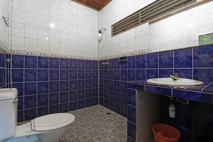 Озеро Тоба: Bagus Bay Homestay