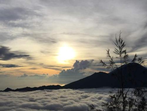 Кинтамани: Bunbulan Hill Hostel and Villa