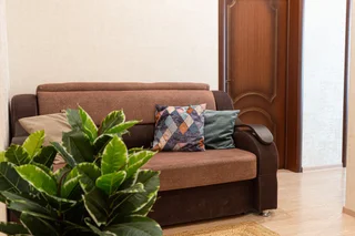 Петропавловск-Камчатский: Двухкомнатные апартаменты WELCOME HOME Aparts & Tours 30