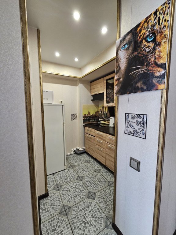 Петропавловск-Камчатский: Двухкомнатные апартаменты WELCOME HOME Aparts & Tours 49/1