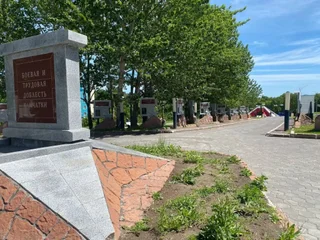 Петропавловск-Камчатский: Двухкомнатные апартаменты WELCOME HOME Aparts & Tours 12-33