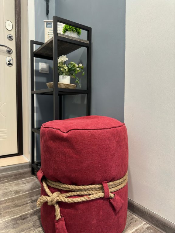 Петропавловск-Камчатский: Однокомнатные апартаменты WELCOME HOME Aparts & Tours 7А