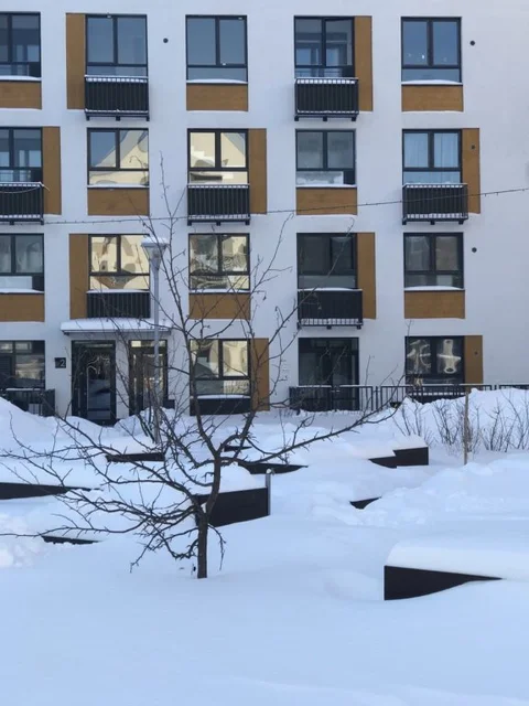 Тюмень: Квартира Дом.Лес.Парк