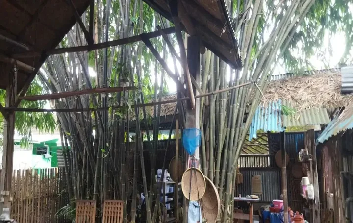 Батуретно: Filistay Homestay