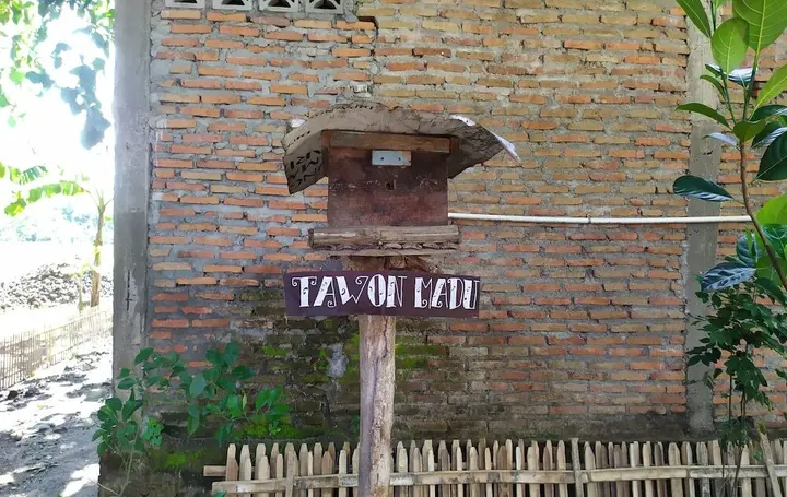 Батуретно: Homestay Mbah Pomo Sriharjo