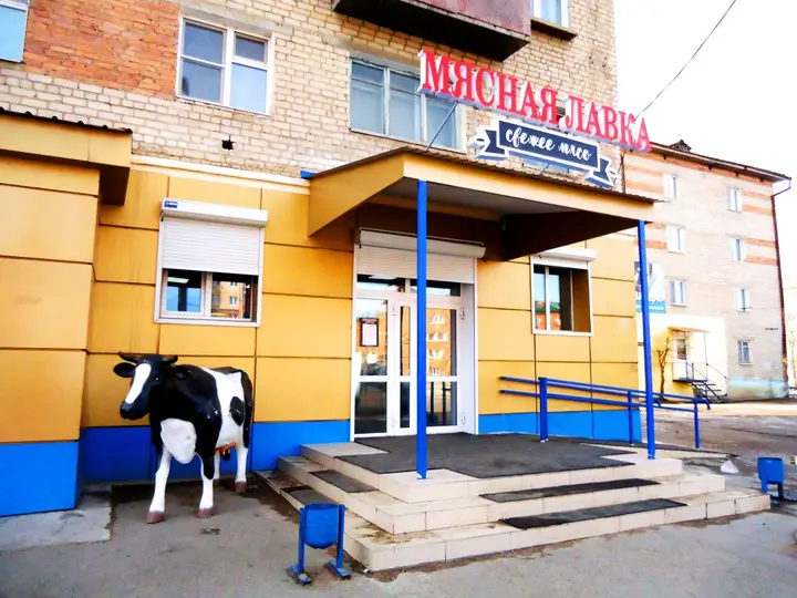 Чита: Две Подушки 3-й микрорайон 4