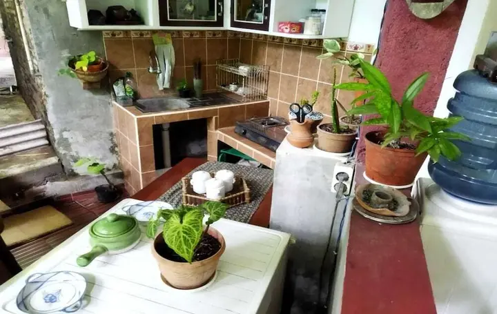 Боробудур: Borobudur Homestay Durian