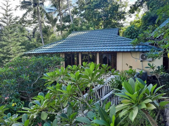 Битунг: Tangkoko Sanctuary Villa