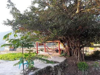 Озеро Тоба: Liberta Homestay