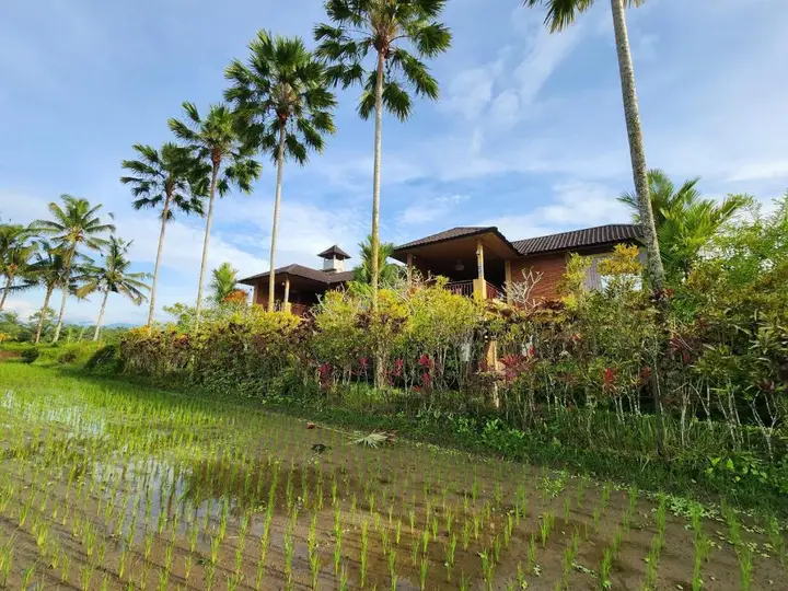Villa Cempaka Kedisan — фото 5
