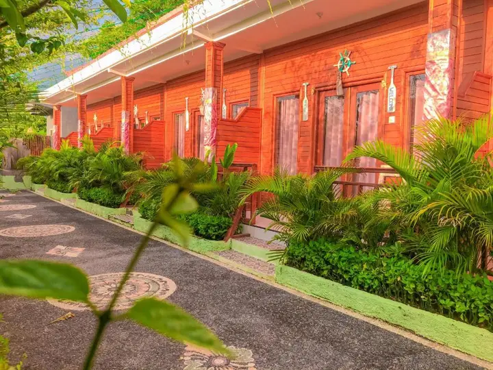 Auora Guest House — фото 1