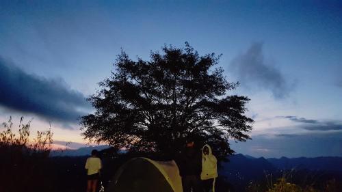 Кинтамани: Pinggan Sunrise Camping Ground