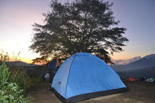 Кинтамани: Pinggan Sunrise Camping Ground
