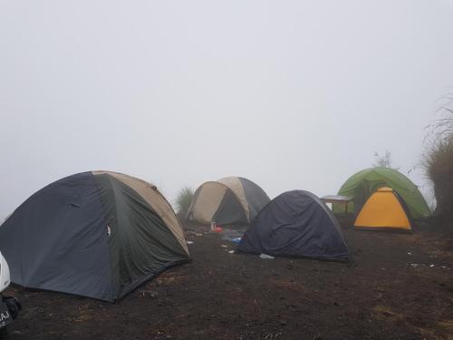 Кинтамани: Pinggan Sunrise Camping Ground
