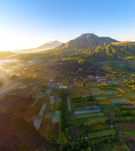 Кинтамани: Pinggan Sunrise Camping Ground