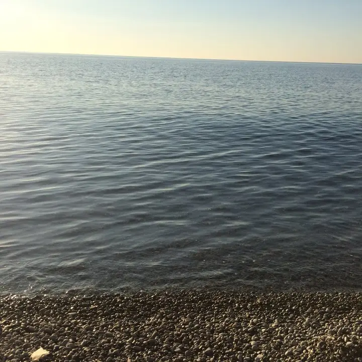 Курпаты: Отель Две Рыбы Гаспра