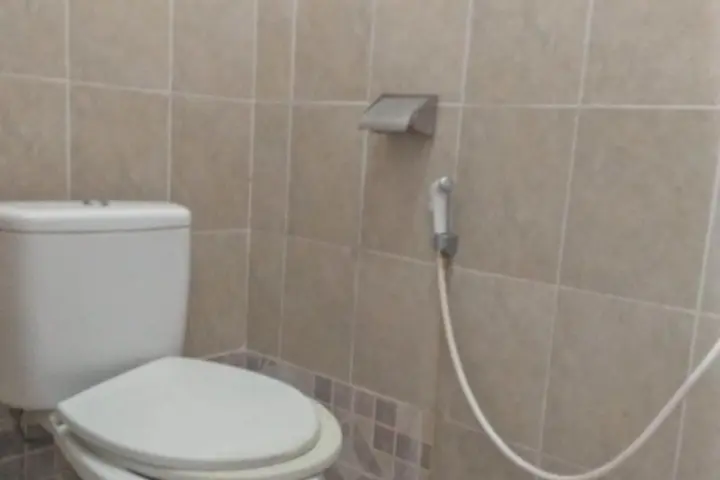Озеро Тоба: Olibert Hotel Parapat Ajibata
