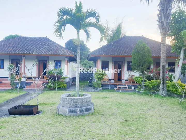 Кинтамани: Arlinas Guest House