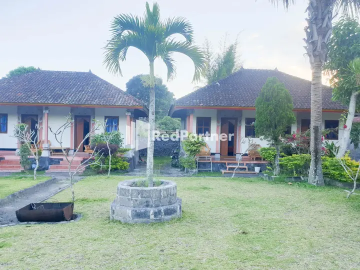 Кинтамани: Arlinas Guest House