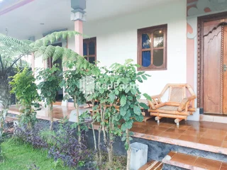 Кинтамани: Arlinas Guest House