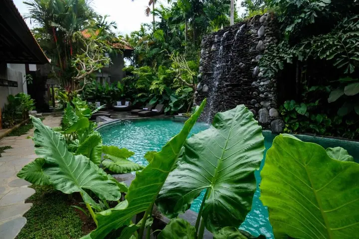 Убуд: JAPA Suites & Villas