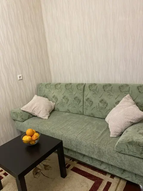 Нижний Новгород: Квартира Генкиной