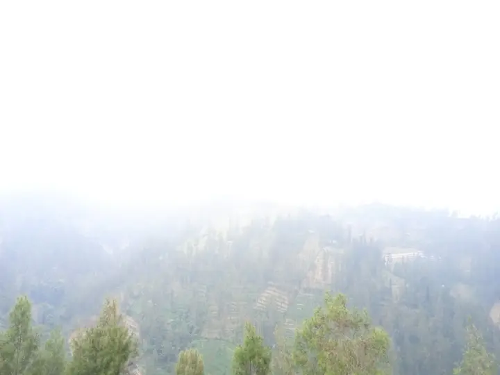 Надисари: Villa Erlina at Desa Wisata Bromo