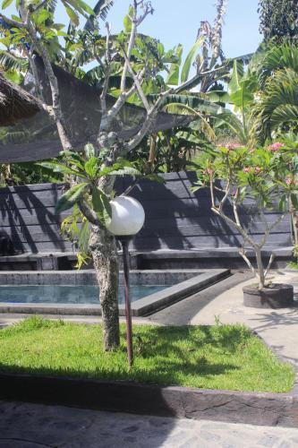 Кинтамани: Lava Stone Hostel