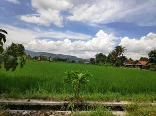 Батуретно: Narti Homestay