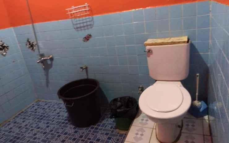 Озеро Тоба: Merlyn Guest House