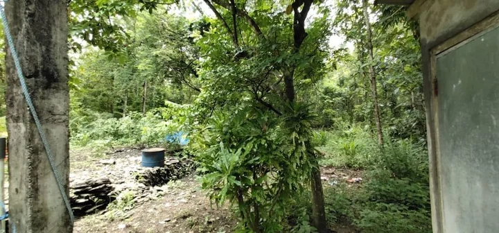 Батуретно: Homestay Dulngori Syariah