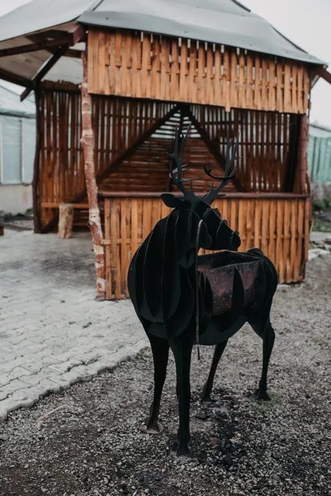 Паратунка: Гостевой Дом Eko House Kamchatka