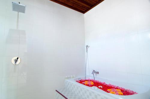 Тембок: Mesari House