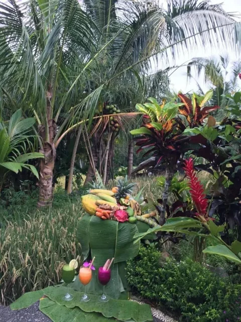 Тегаллаланг: Puri Raya Villa Ubud