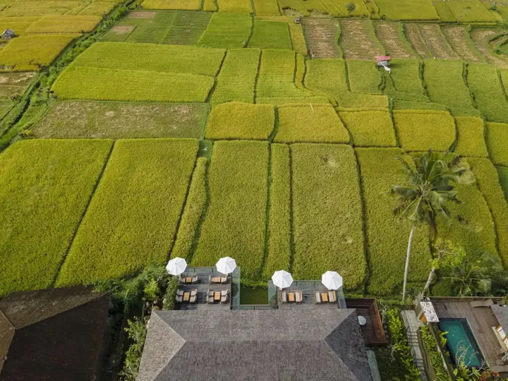Убуд: Kappa Senses Ubud