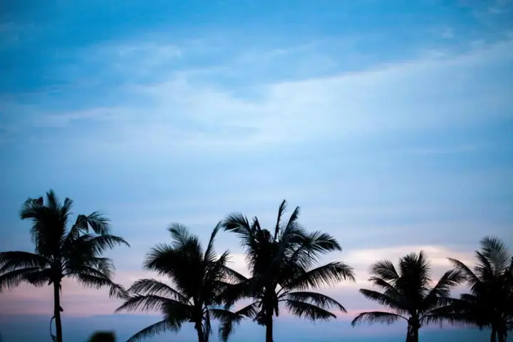Табанан: Amarta Retreat