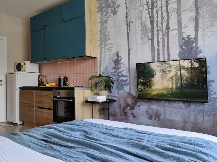 Апартаменты Rasko Home Forest возле аэропорта 10 мин до центра — фото 5
